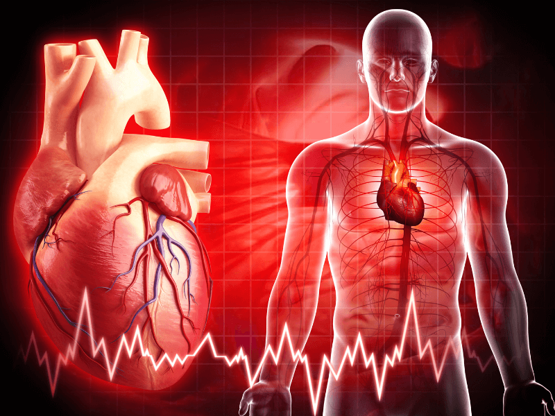 Những dạng rối loạn nhịp tim có thể được chữa khỏi