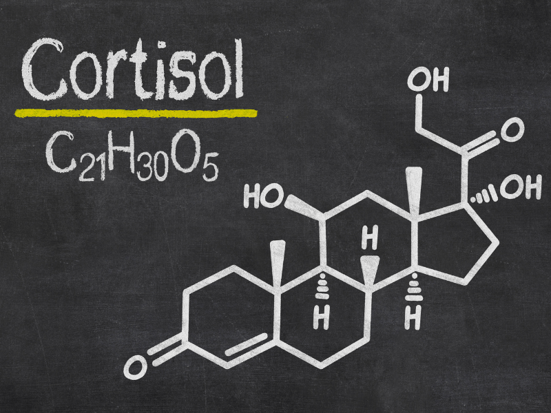 Cortisol - hormone giúp tỉnh táo và cung cấp năng lượng