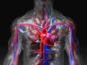 Dấu hiệu suy tim nặng: Hiểu rõ và phòng ngừa