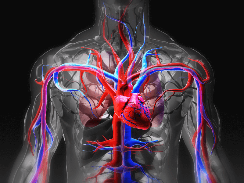 Dấu hiệu suy tim nặng là gì?
