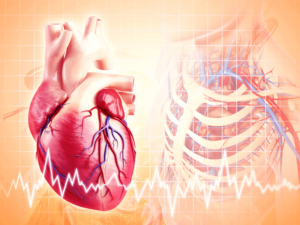 Bệnh cơ tim giãn là gì? Những biến chứng nguy hiểm mà bạn cần biết