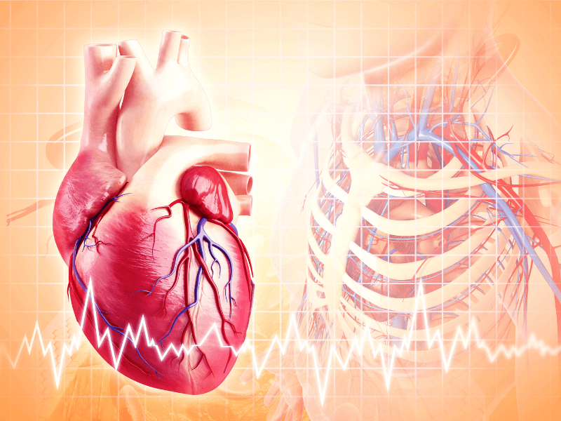 Bệnh cơ tim giãn là gì? Các thông tin cơ bản về bệnh cơ tim giãn