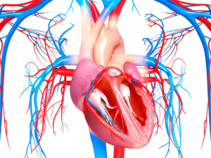Nhồi máu cơ tim thành dưới: Nguyên nhân và triệu chứng
