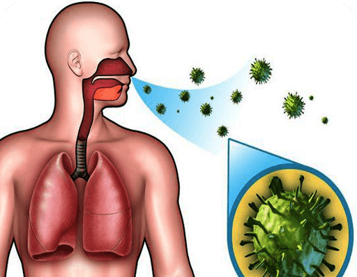 Nguyên nhân gây bệnh bạch hầu